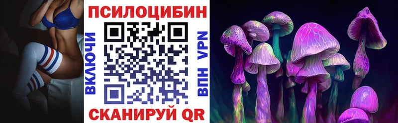купить закладку  мориарти телеграм  Псилоцибиновые грибы прущие грибы  Шарыпово 